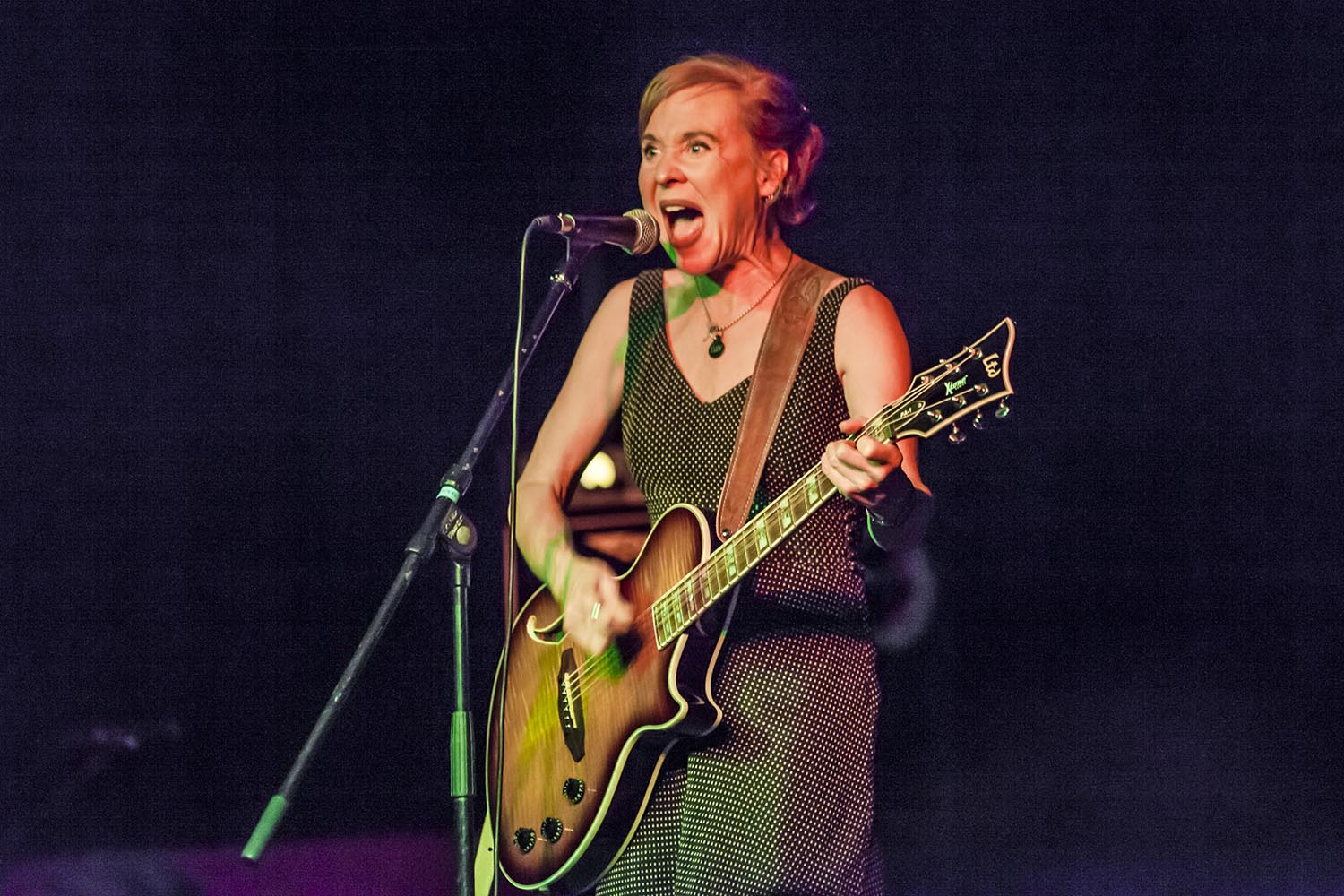 OTROS ESCENARIOS POSIBLES
09/02/2019
ACTUACION DE KRISTIN HERSH EN EL MINIFESTIVAL POP DE LES BASSES EN NOU BARRIS BARCELONA
FOTO MARTI FRADERA