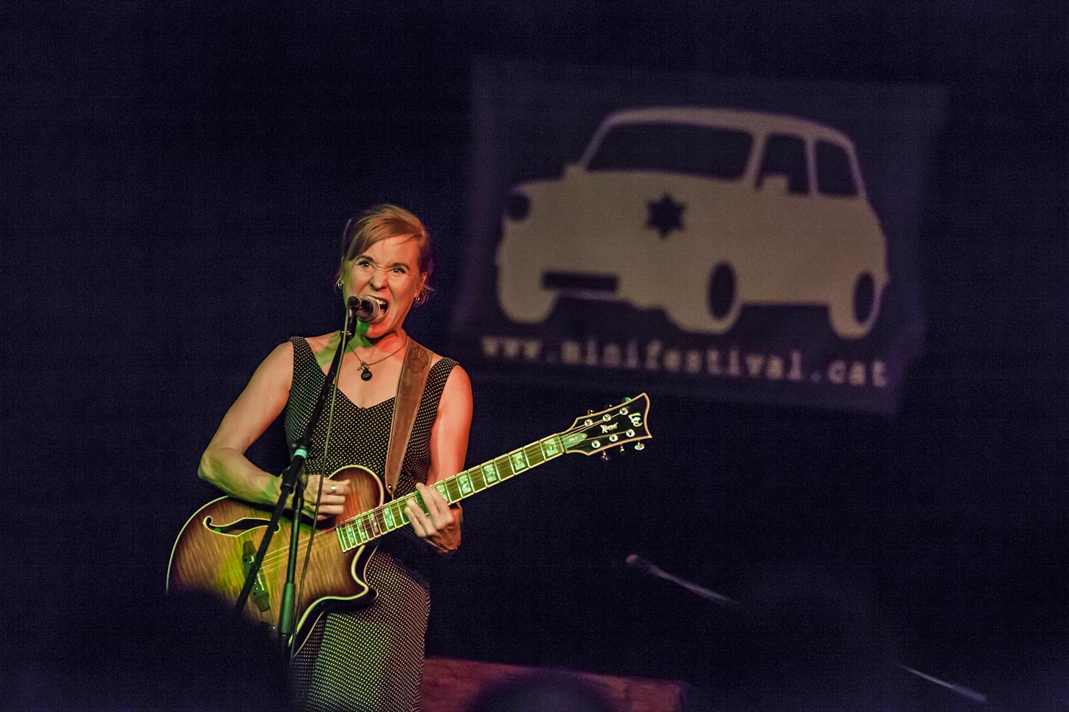 OTROS ESCENARIOS POSIBLES
09/02/2019
ACTUACION DE KRISTIN HERSH EN EL MINIFESTIVAL POP DE LES BASSES EN NOU BARRIS BARCELONA
FOTO MARTI FRADERA