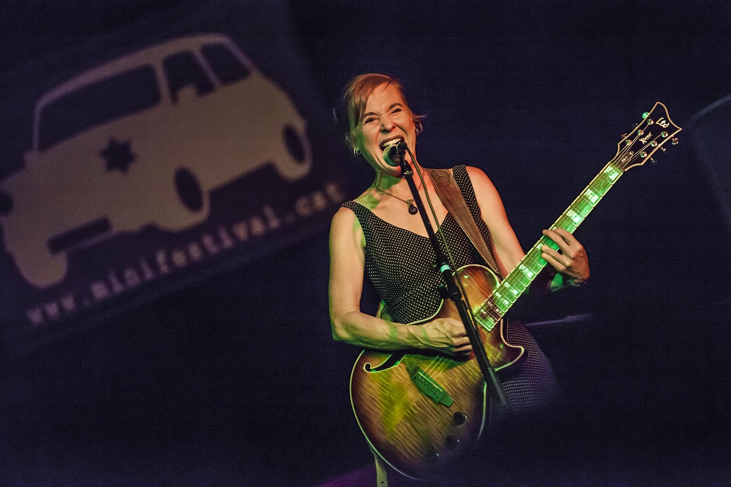 OTROS ESCENARIOS POSIBLES
09/02/2019
ACTUACION DE KRISTIN HERSH EN EL MINIFESTIVAL POP DE LES BASSES EN NOU BARRIS BARCELONA
FOTO MARTI FRADERA